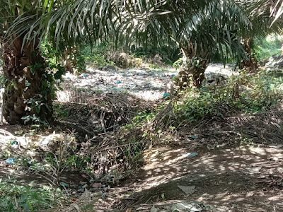Areal Tanaman Perkebunan Milik PTPN IV Unit Tinjowan Jadi Tempat pembuangan Sampah