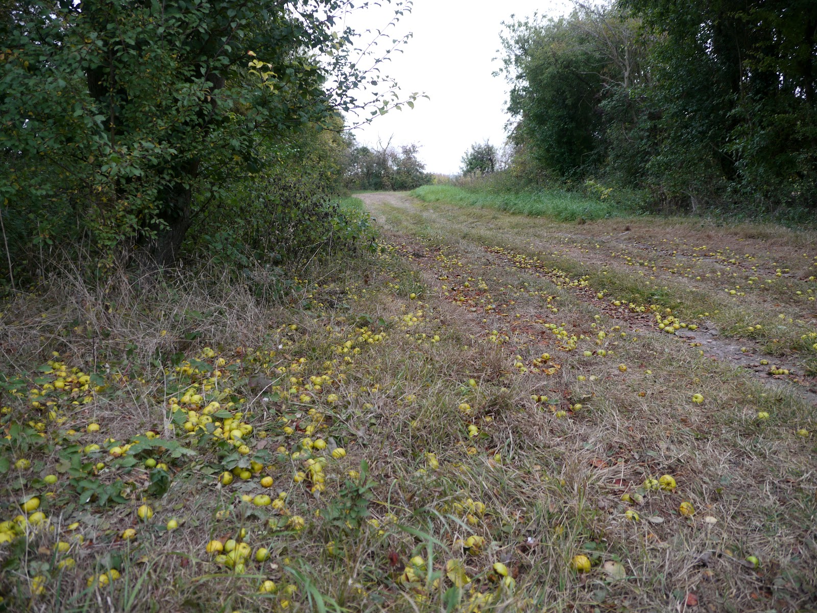 P1000150.JPG