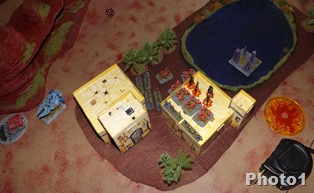 DSCF7227