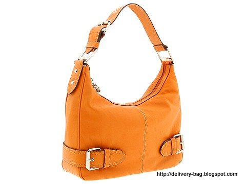 Delivery bag:delivery-1344387