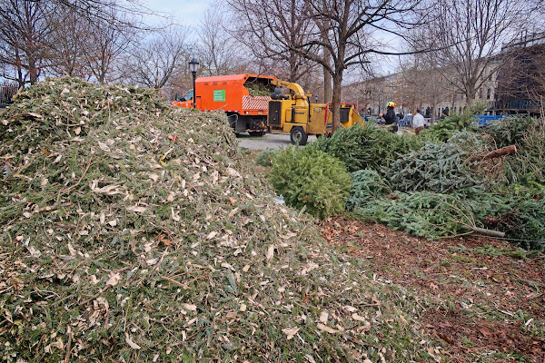 2023 NYC Mulchfest in Maria Hernandez Park, Bushwick, Brooklyn.