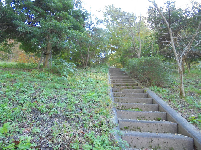 別所川渓流植物園