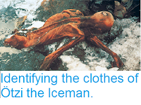 http://sciencythoughts.blogspot.com/2016/08/identifying-cloths-of-otzi-iceman.html