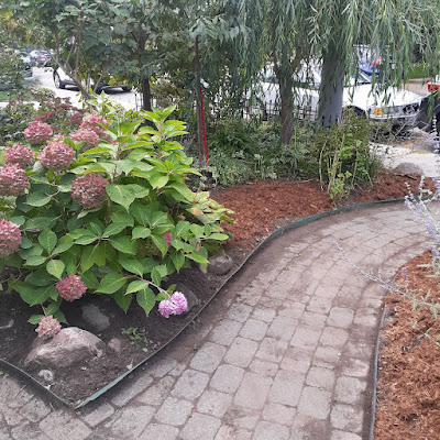 East York Toronto Front Garden Makeover After by Paul Jung Gardening Services--a Small Toronto Gardening Company