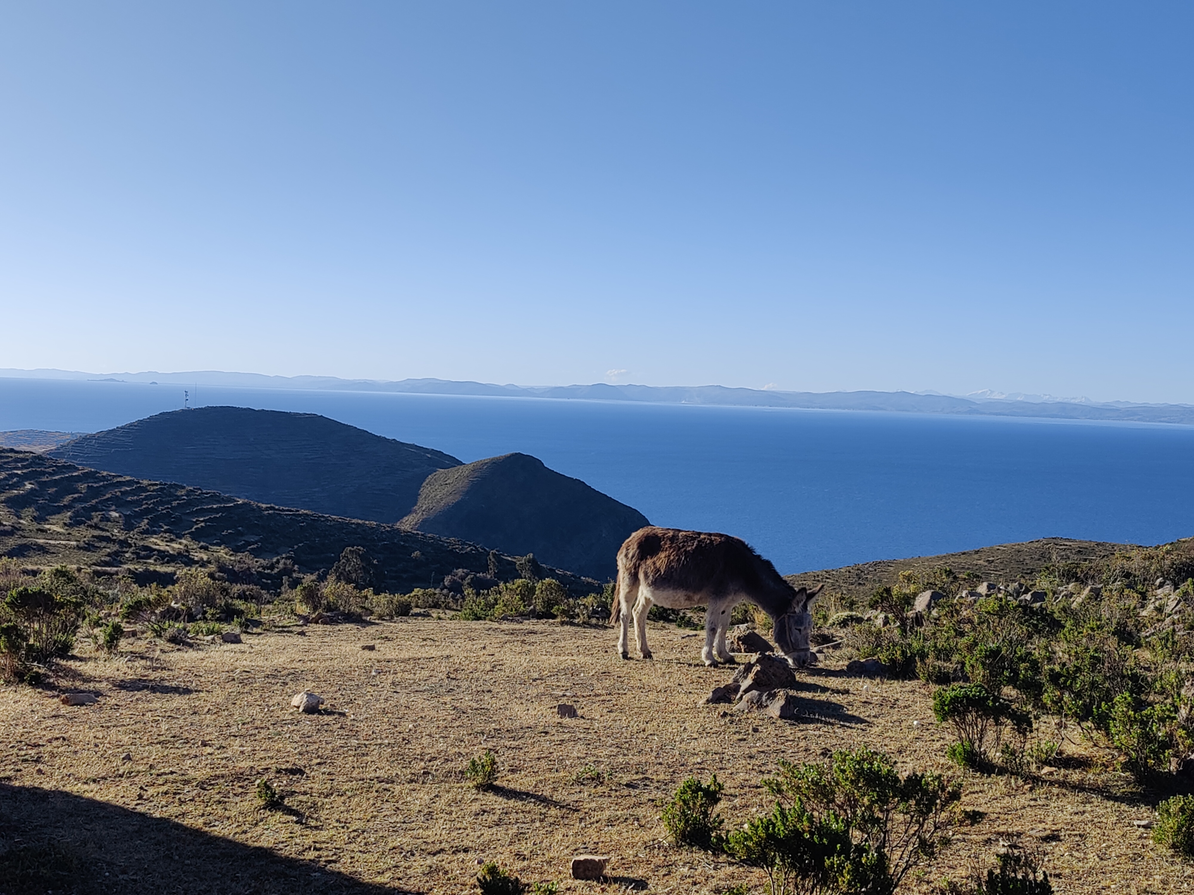 Titicaca -järvi