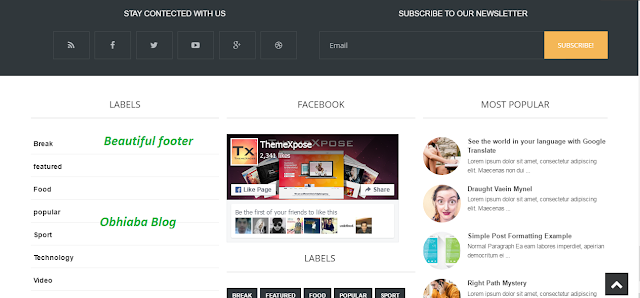 Blogus blogger template footer
