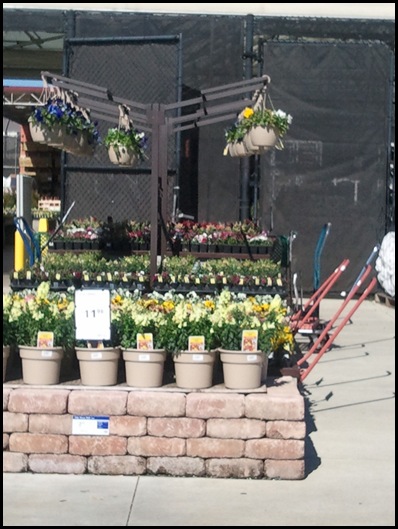 Lowes2