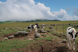 Utsukushigahara Highland