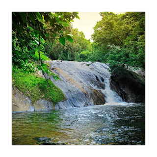 dhoni waterfall
