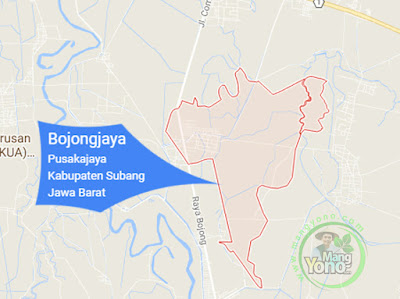 PETA : Desa Bojongjaya, Kecamatan Pusakanagara