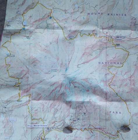 D6 MAP