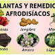 remedios afrodisiacos 