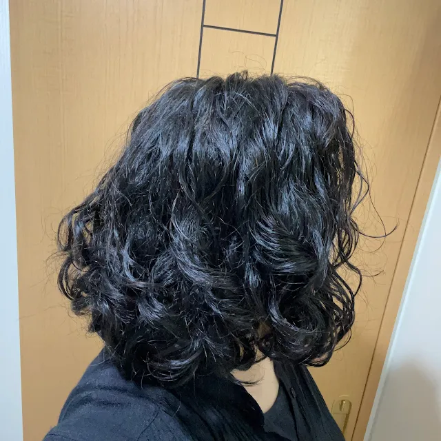 黒髪だったころ