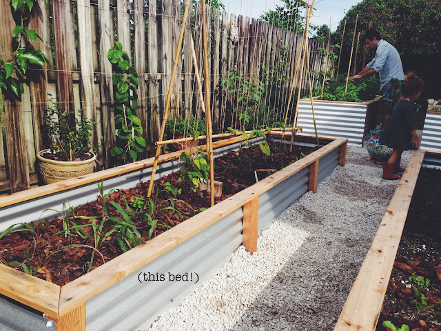 ohdeardrea: Our Raised Beds: Easy Metal &amp; Wood Garden Bed How To / DIY