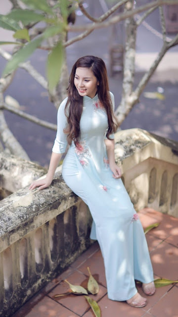  Vietnamese long dress