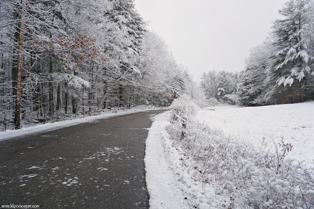 Paisajes de Invierno en New Hampshire