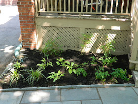 Mount Pleasant East Davisville New Front Shade Garden After by Paul Jung Gardening Services--a Toronto Gardening Company