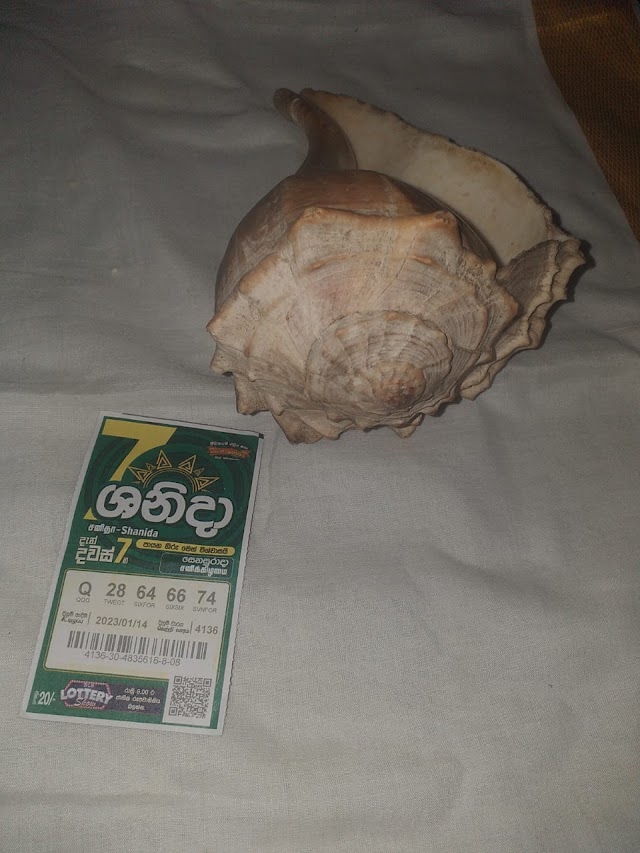 வவுணதீவு பாவற்கொடிச்சேனையில் வலம்புரிச் சங்கு கைப்பற்றல்!