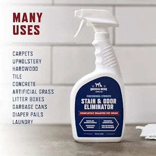 Best Pet Stain and Odor Remover to Choosing Ultimate Guide