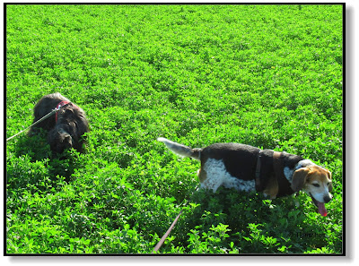 Emma und Lotte