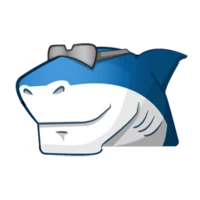 Advanced codecs