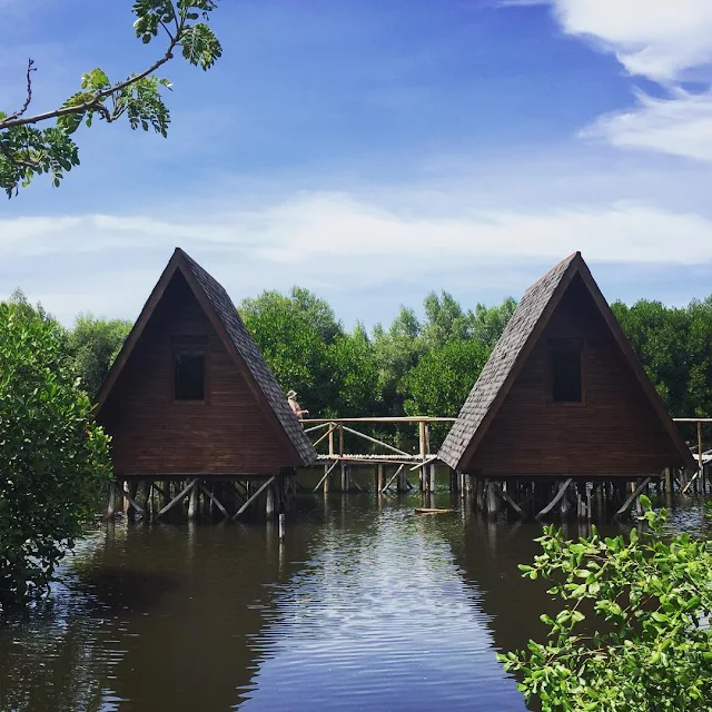 foto taman wisata alam mangrove pik