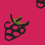 raspberry pattern