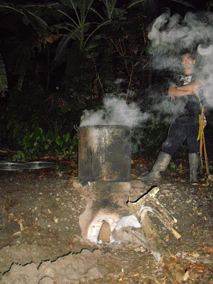 The ayahuasca 'trip': A large pot of dark brown gold - the ayahuasca/yagé in the brewing stage.