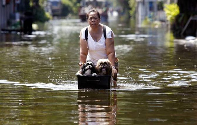 Flood in Thailand