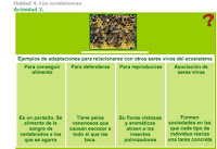 http://www.ceipjuanherreraalcausa.es/Recursosdidacticos/SEXTO/datos/02_Cono/datos/05rdi/04/03.htm