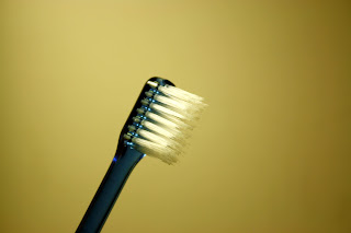 The importance of cleaning your dog's teeth