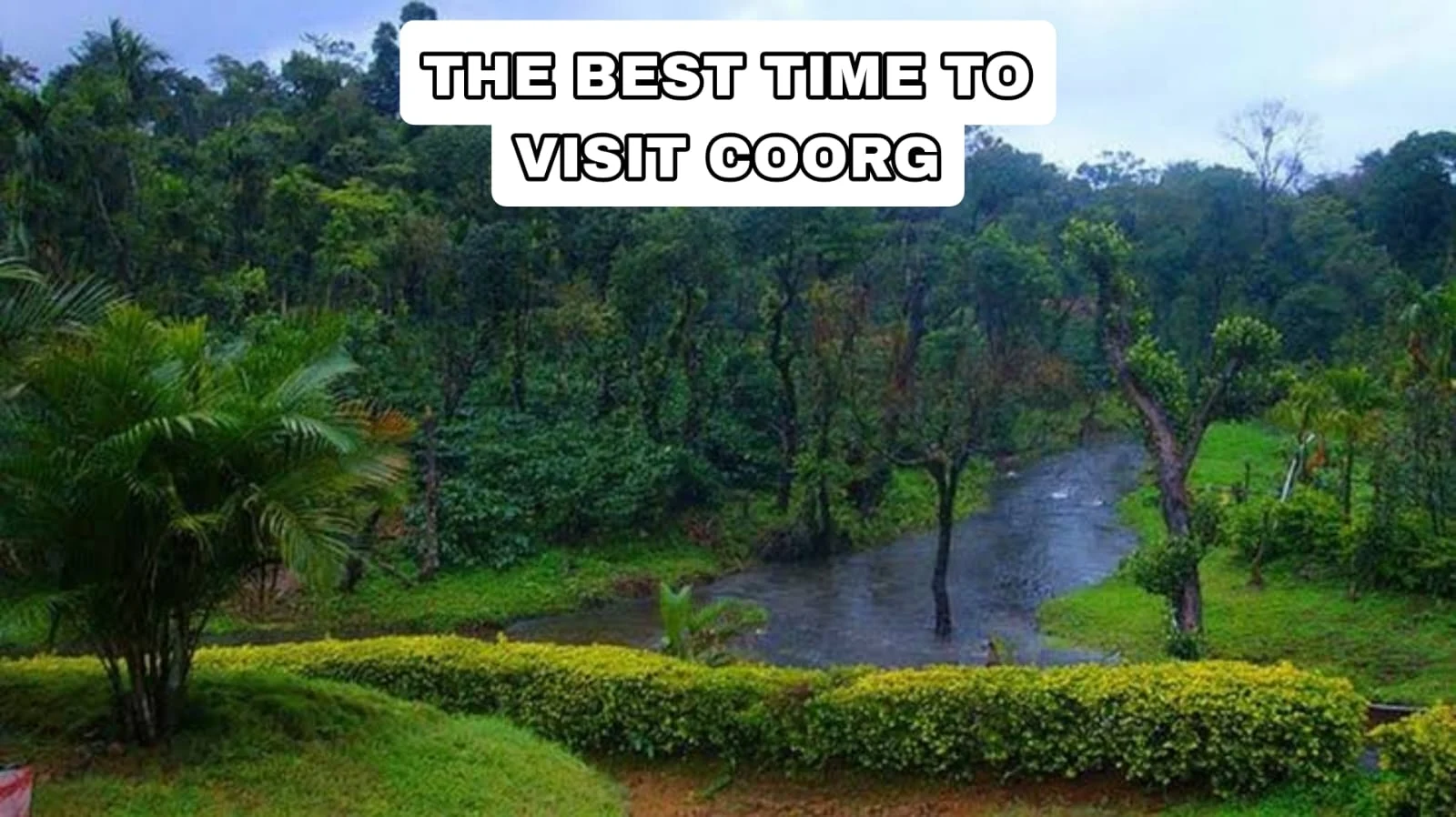 The best time to visit Coorg