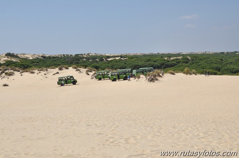 Parque Nacional de Doñana