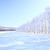 北海道 雪