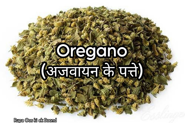 Oregano (अजवायन के पत्ते)