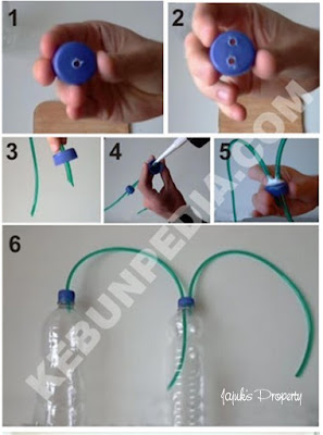 cara membuat co2 padat , takaran co2 ragul , cara membuat co2 diy sitrun , cara membuat co2 diffuser , cara membuat co2 alami , cara menyebarkan co2 di aquascape , cara membuat co2 diy ragul , ragul co2