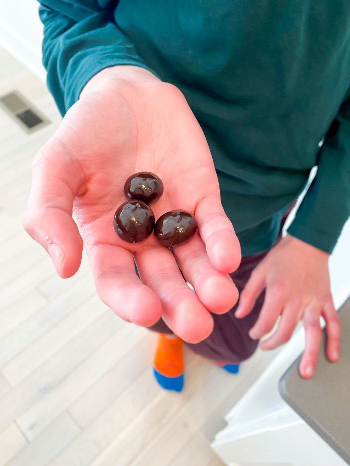 Trader Joe's Dark Chocolate-Covered Powerberries in hand