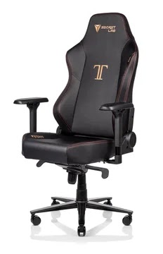 best gaming chairs, best gaming chairs 2022, gaming chairs, gaming chair for comfort, Secretlab Titan