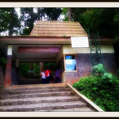 View album