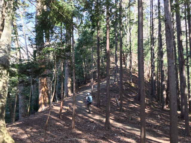 実成山への登山道