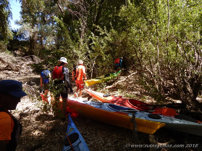 Kayak río Palmones