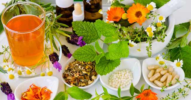 herbal medicines benefits