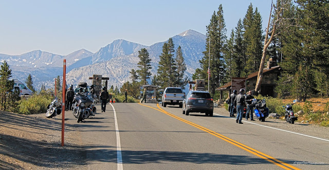 Yosemite National Park Tioga Pass geology travel field trip copyright rocdoctravel.com