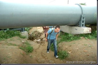 alex
