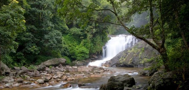  Lakkam Waterfalls Munnar