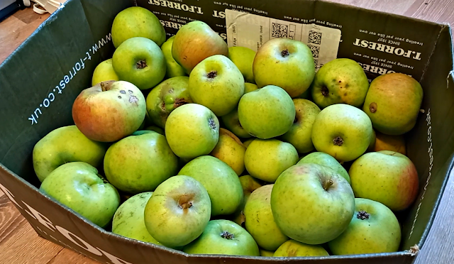 A box of apples