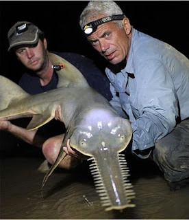 Scariest River Monsters