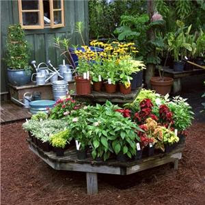 TARA JBS: Home small potted gardens ideas.