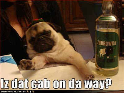 Pug Sloshed . 2011