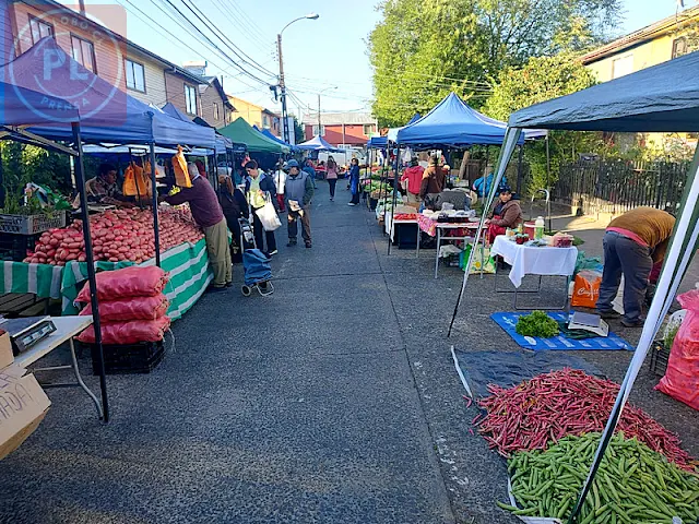Ruta de las Ferias: sábado 2 de marzo - Feria PAC Osorno